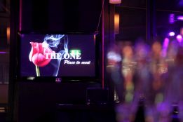1411_theone-singleparty_01.jpg