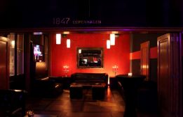 1411_theone-singleparty_02.jpg
